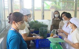 Kiểm soát an toàn bữa ăn bán trú | Giáo dục và đào tạo | 13/10/2026