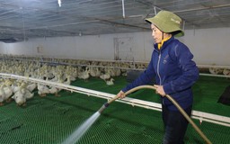 Giảm tác động môi trường trong sản xuất nông nghiệp  | Sản xuất xanh - Năng lượng sạch | 10/10/2026