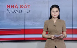 Bản tin Nhà đất và đầu tư | 12/10/2026