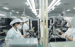 Lan tỏa thi đua “Lao động giỏi – Năng suất cao – Thu nhập tốt”