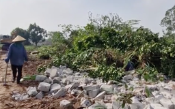 Xã Phú Xuyên bàn giao 29,7 ha đất cho Dự án Quốc lộ 1A