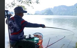 Câu cá mùa thu – Niềm vui từ sự kiên nhẫn