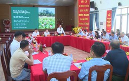 Xã Ứng Hòa tọa đàm "Phát triển nông nghiệp sạch"