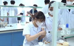 Thanh niên trước sức ép việc làm