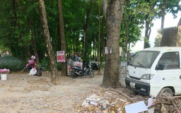 Nhếch nhác Công viên Bắc Linh Đàm