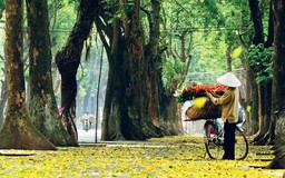 Việt Nam vào top 4 điểm đến mùa thu nổi bật thế giới