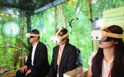 Trải nghiệm thiên nhiên lưu động tại Hà Nội
