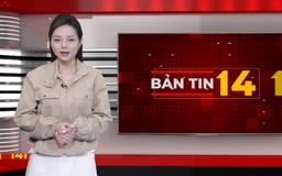 Bản tin 141 | 07/10/2026