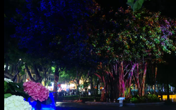 Quảng trường Đông Kinh Nghĩa Thục rực sáng với công nghệ 3D mapping