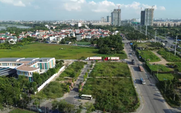 Xử lý nghiêm tình trạng bỏ cọc, thao túng kết quả đấu giá