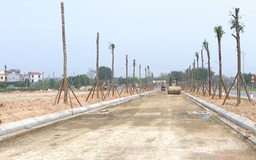 Yêu cầu gắn tiến độ tái định cư với giải phóng mặt bằng