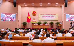 Những vấn đề chất vấn sẽ tạo chuyển biến cụ thể trong lĩnh vực môi trường