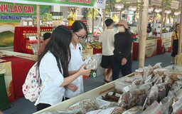 Xã Phú Xuyên: Hội tụ tinh hoa làng nghề