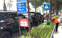 Phường Cửa Nam tăng diện tích cây xanh, thảm cỏ giảm phát thải