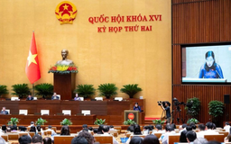 Hoàn thiện chính sách khai thác tài nguyên gắn với bảo vệ môi trường