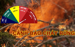 Cảnh báo cháy rừng (24/10/2026)