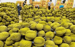 Xuất khẩu rau quả sát mốc 10 tỷ USD