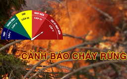 Cảnh báo cháy rừng (26/10/2026)