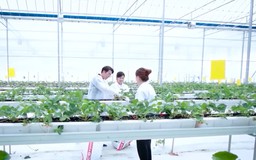 Nâng chất lượng, tăng sức cạnh tranh cho sản phẩm nông nghiệp | Nông nghiệp và Môi trường | 25/10/2026