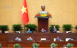 Bảo đảm chính sách khoan hồng áp dụng chặt chẽ, minh bạch, thống nhất