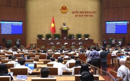 Quốc hội cho ý kiến về dự thảo Bộ luật Hình sự (sửa đổi)