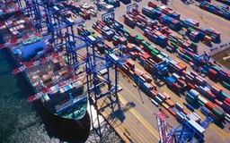 Nâng giá trị trong chuỗi cung ứng, doanh nghiệp tăng đơn hàng