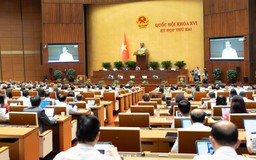 Ưu tiên phát triển nhà ở cho người thu nhập thấp, nhà ở cho thuê
