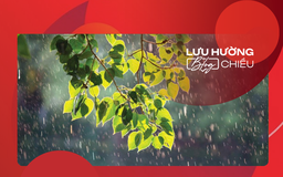 Mưa qua miền nhớ