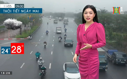 Dự báo thời tiết ngày 11/05/2023