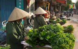 Đồ tươi chợ sớm