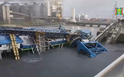 Tàu container làm sập cầu cảng ở Cái Mép - Thị Vải