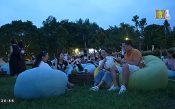 Chiều trên bãi sông Hồng