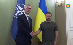 NATO khẳng định sự ủng hộ đối với chính phủ Ukraine