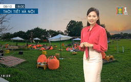Dự báo thời tiết | 09/10/2023