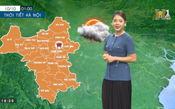 Dự báo thời tiết | 11/10/2023