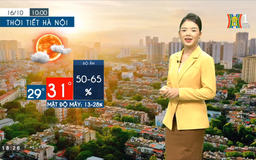 Dự báo thời tiết | 17/10/2023