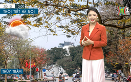 Dự báo thời tiết | 21/10/2023