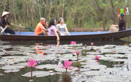 Ngược dòng suối Yến ngắm hoa súng