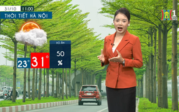 Dự báo thời tiết | 01/11/2023