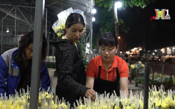 Nhộn nhịp chợ hoa Mê Linh