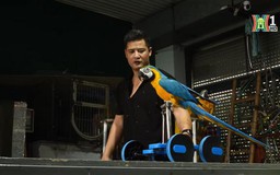 Nghề huấn luyện, biểu diễn xiếc thú