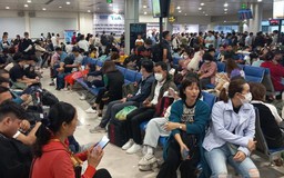 Gần 700 chuyến bay chậm khởi hành tại Tân Sơn Nhất