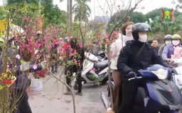 Chợ hoa Tây Hồ tấp nập vào 30 Tết