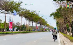 Không gian xanh trên tuyến đường Văn Tiến Dũng