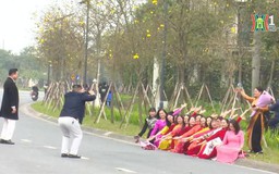 Tuyến đường vàng rực hoa phong linh