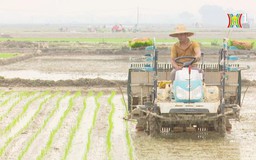 Đảm bảo nước tưới cho sản xuất vụ Xuân 2024 | Nông nghiệp nông thôn | 14/03/2024