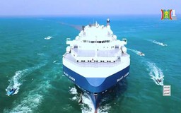 Biển Đỏ dậy sóng, tàu vận tải gặp nguy?