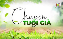 Các bệnh về mắt thường gặp ở người cao tuổi| Chuyện tuổi già | 17/03/2024