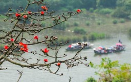 Chùa Hương hoa gạo soi dòng suối Yến