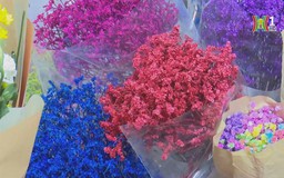 Chợ hoa Quảng Bá sẽ thành điểm du lịch đêm